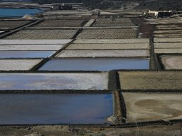 La_Palma_Lanzarote_2003-2004-011